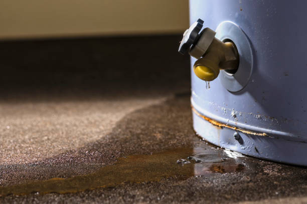 Best 24/7 water damage repair  in North Puyallup, WA