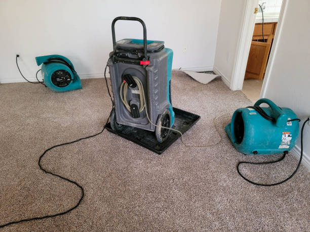 Best Mold removal after water damage  in North Puyallup, WA