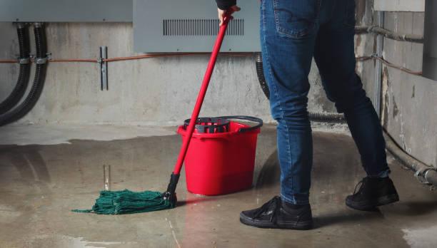 Best Residential water damage restoration  in North Puyallup, WA