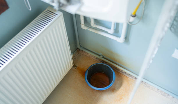  North Puyallup, WA Water damage restoration Pros