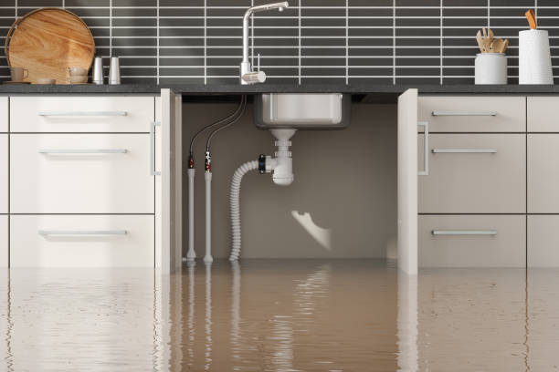 Best Commercial water damage restoration  in North Puyallup, WA
