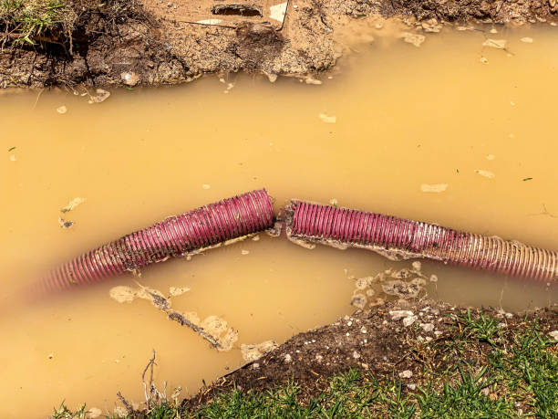 Carpet water damage restoration in WA